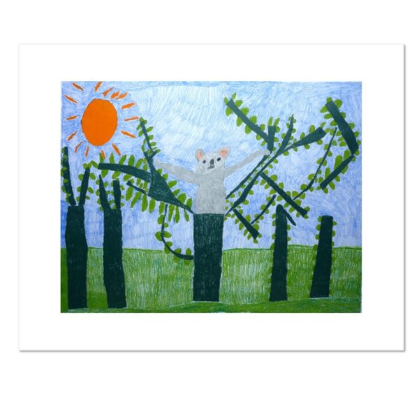 Koala - Carianne Hermans