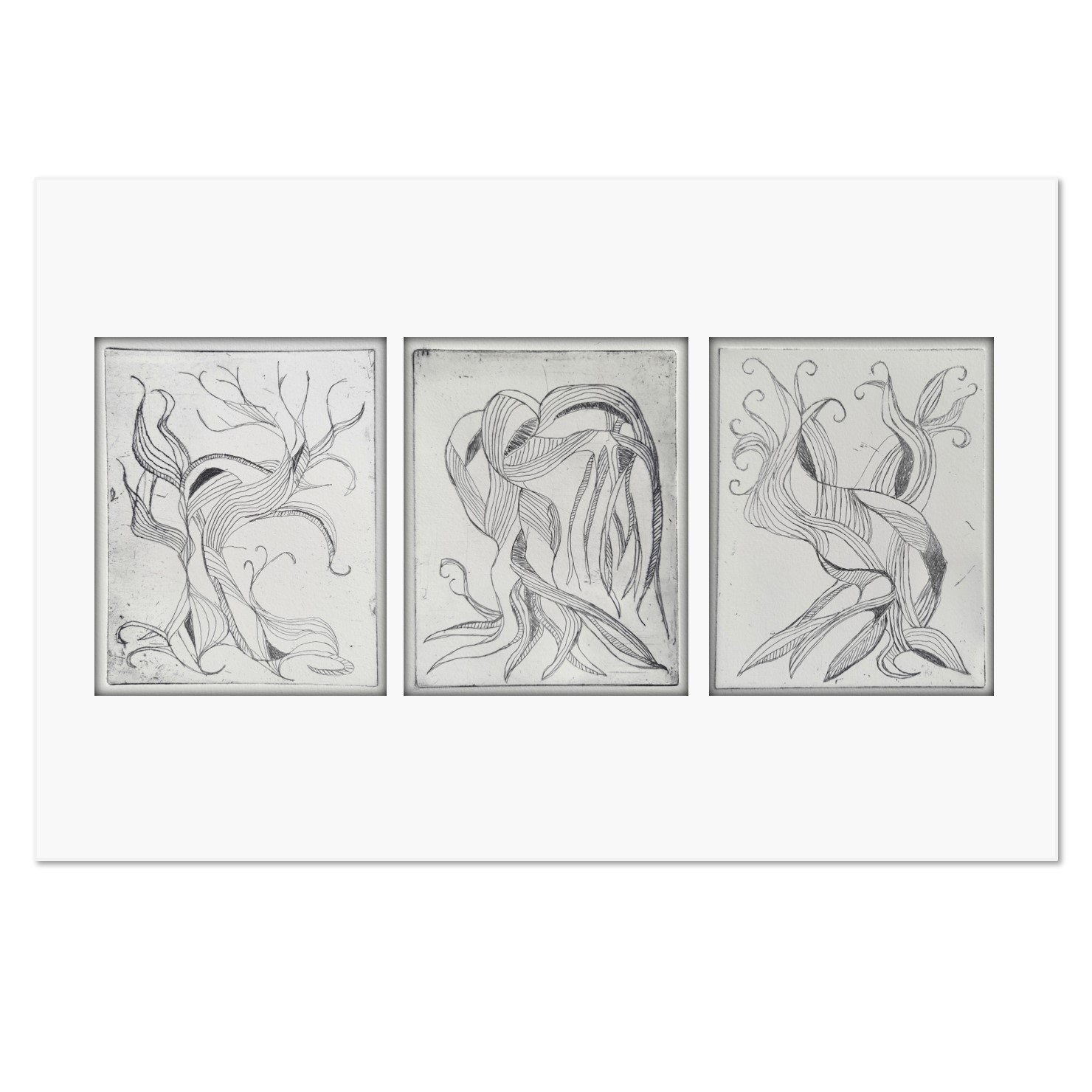 Drie keer geworteld - Judith Campman