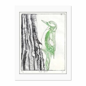 Bonte specht - Judith Campman