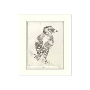 Vink - Judith Campman